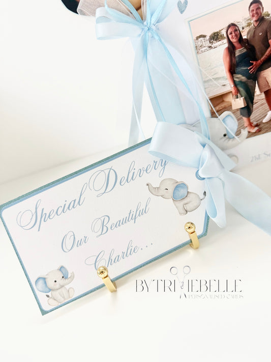 Baby Boy Birth Tag Elephant